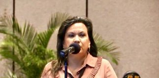 SEPPA ta liña recta contra tur loke cu Hulanda a pone riba mesa; si e yama CHE, e ta ‘CHE vies’