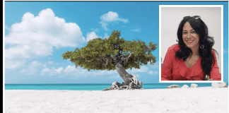 Marisol t’e unico persona cu por combati corupcion na Aruba?… Ironia Of hipocrecia?