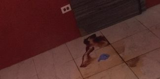 Misterio y silencio rond di Latin Passions