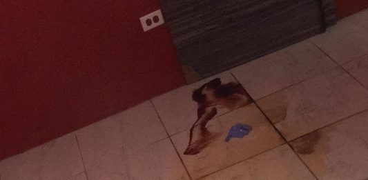 Misterio y silencio rond di Latin Passions