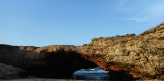 SABIDURIA DEN NOS ALEGRIA ! Scirbi pa Ruthy “Lady Ruth” Vrieswijk-Bergen.