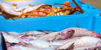 Piscamento no ta prohibi: Ta prohibi pa cruca frontera pa intercambia pisca