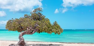 Te ken mester drecha un Ministerio Publico cu no ta funcciona?