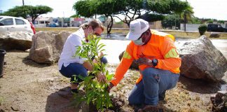 Prome Minister Evelyn Wever-Croes: Prome Minister Ta Planta Mata Den Cada Districto Riba Su Fecha Natal!