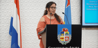 Sharline Koolman – DVG: Investigacion Di “Serprevalentie” Lo Yuda Pa Pa Adapta Futuro Maneho Relaciona Cu Covid!