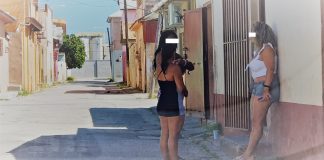 Ta mustra cu e animeerdamesnan lo ta bek den hanchi