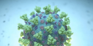 Un tercer mutante 501.v2 Covid-2 a aparece na South Africa cu ta mas infeccioso y parce ta resisti vacuna