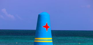 Armand Hessels: Sinberguenza