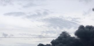 Stichting Parkietenbos: mas di 3000 firma entrega; Dump tin cu cera, WEB bay over na Gas y un solucion pa Ser’i Teishi