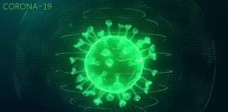 Subiendo rapido: 248 caso