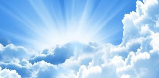 Obituario Olive Tree: Sra. Dionicia Wernet miho conoci como “Nini”