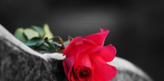 Keto bay ta sigui trapa riba famianan cu regla abusivo di entiero; Famianan prohibi pa despedi