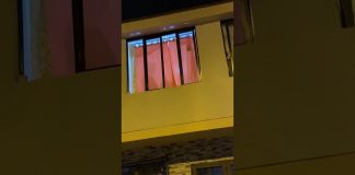 Viral na Colombia! A hiba mariachi pa su chick y gare den accion