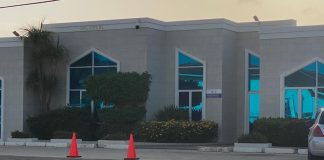 Avestruz; Comerciante hoteleto cita pa presenta na landsrecherche dialuna mainta