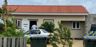 Jeugd en Zeden Politie a detene un homber pa abuso sexual di menor