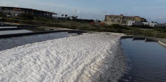 DOW Informa: Hopi scuma na planta di purificacion