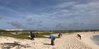 Iglesia New Life Tabernacle a organisa un tremendo “beach clean-up”