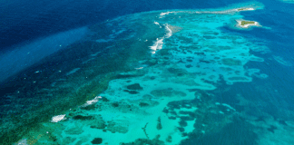 FPNA ta invita stakeholders pa participa den e proceso di consulta di Parke Marino Aruba