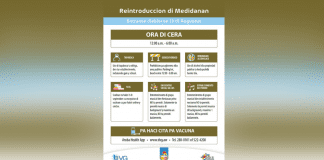 Reintroduccion di Medidanan