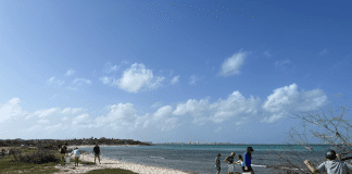 Entusiasmo Arubano Riba World Cleanup Day 2021