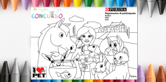 Concurso di Kleur “Stima Bo Mascota” 2021