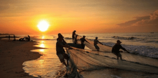 Reglanan nobo importante pa exportacion di pisca y otro productonan di lama pa Merca