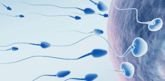 ¿Vacuna contra COVID-19 ta causa infertilidad?