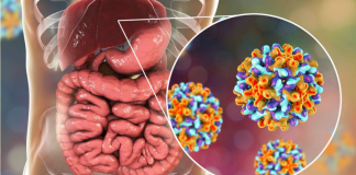 DVG: Kico ta Hepatitis B?