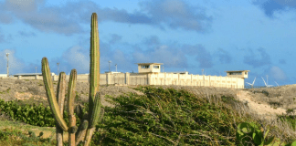 Enseñansa pa Empleo a cuminsa cu cursonan na KIA KIA ARUBA