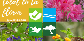 Luna di october, luna di flor. Dia 6 di october ta luna nobo- segun nos adultonan mayor un bon dia pa planta