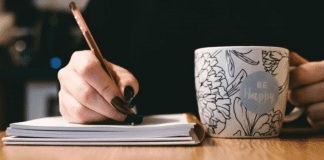 Curso skirbimento creativo cu autor local, Vi Frank jr.