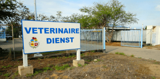 Veterinaire Diest ta informa riba Horario di servicio pa temporada druk di November y December 2021