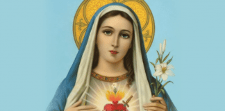 Diasabra 13 di November 2021, 6 or di atardi Santo Rosario y Oracion na Monumento di “Inmaculada Curason di Maria” na Sta.Cruz.