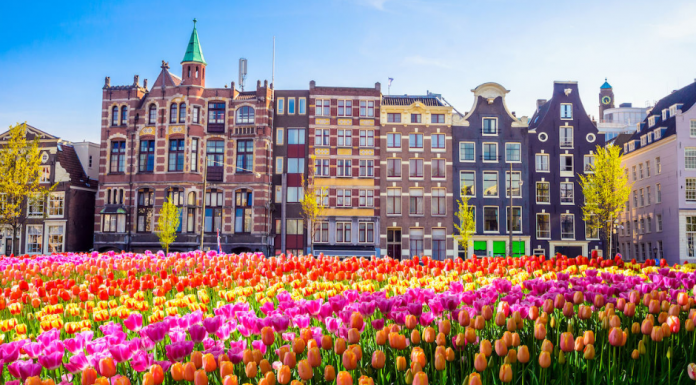 RECORD! 16.634 caso nobo di corona na Hulanda