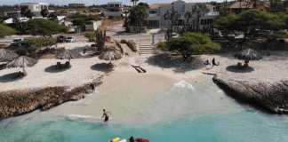 Proyecto “Beach Zand”