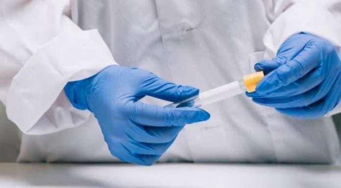 23.066 caso nobo di Corona na Hulanda; Color preto por drenta na vigor