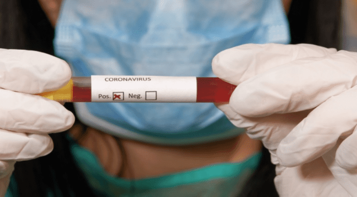 23039 caso nobo na Hulanda, ayera 23066