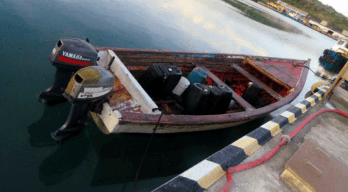 Kustwacht a intercepta boto cu 33 Venezolano y 7 animal exotico cu kier a drenta