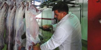 Recordatorio orario di servicio Abattoir pa temporada di fin di aña