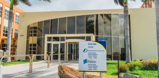 Departamento di Impuesto su dianan di servicio den temporada di fin di aña