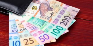 Diabierna Hulanda ta dicidi riba recorte di salario di 12.6 pa 6.3