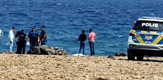 A haya curpa riba tera den estado di descomposicion Vaderpiet