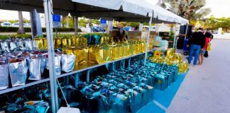 E casino mas grandi di Aruba a yama โdankiโ Miembronan di Stellaris Casino a ricibi nan โHoliday Basketโ