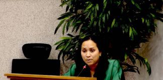 Gerlien Croes a mustra su incapacidad: E kier bay pa energia limpi sin importa cu lo suta pueblo cu prijs di coriente