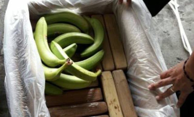 Na diferente Supermarket na Hulanda, trahadornan a bin topa cu paketenan di droga den cahanan di fruta