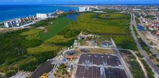 DOW informa: Rwzi bubali y bubali plas.