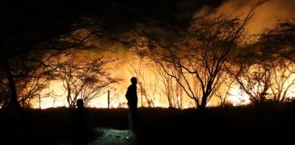 Candela di mondi grandi den area di Jaburibari, Moko y Papaya