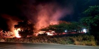 Pyromaan probablemente activo na Aruba, varios candela di mondi raporta