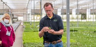 Trahadonan di Hyatt, Marriott, Tropical Garden y Ultimate Landscaping a bay exposicion na Tampa.