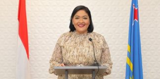 Estudio riba e sistema di subsidio di Aruba a inicia